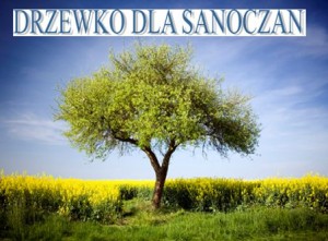 drzewko_dla_sanoczan